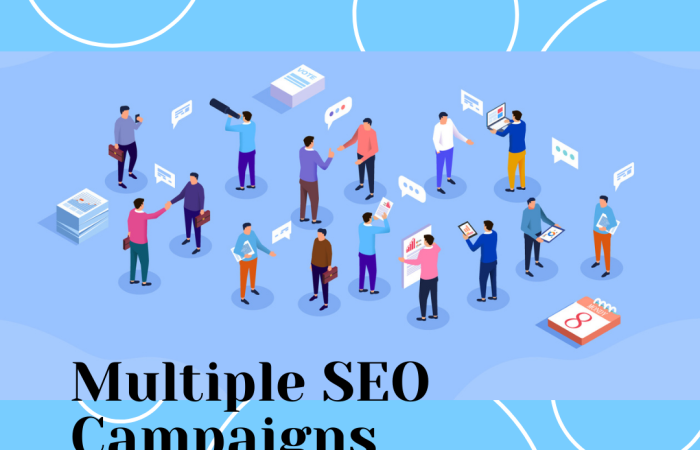 Multiple SEO Campaigns