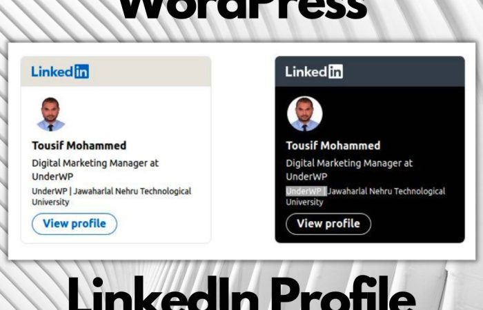 add linkedin profile badge to wordpress