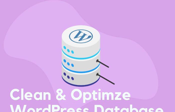 clean wordpress database optimize