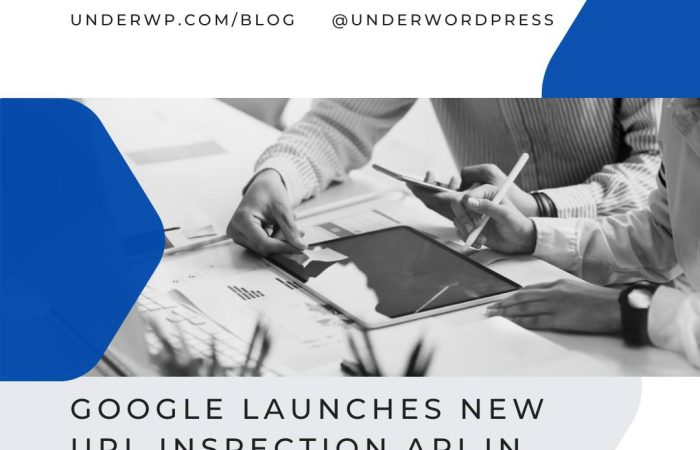 google url inspection api