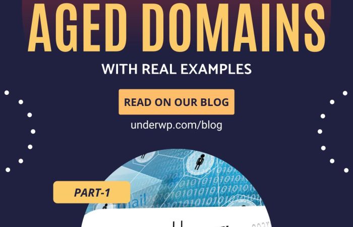 complete guide on aged domains
